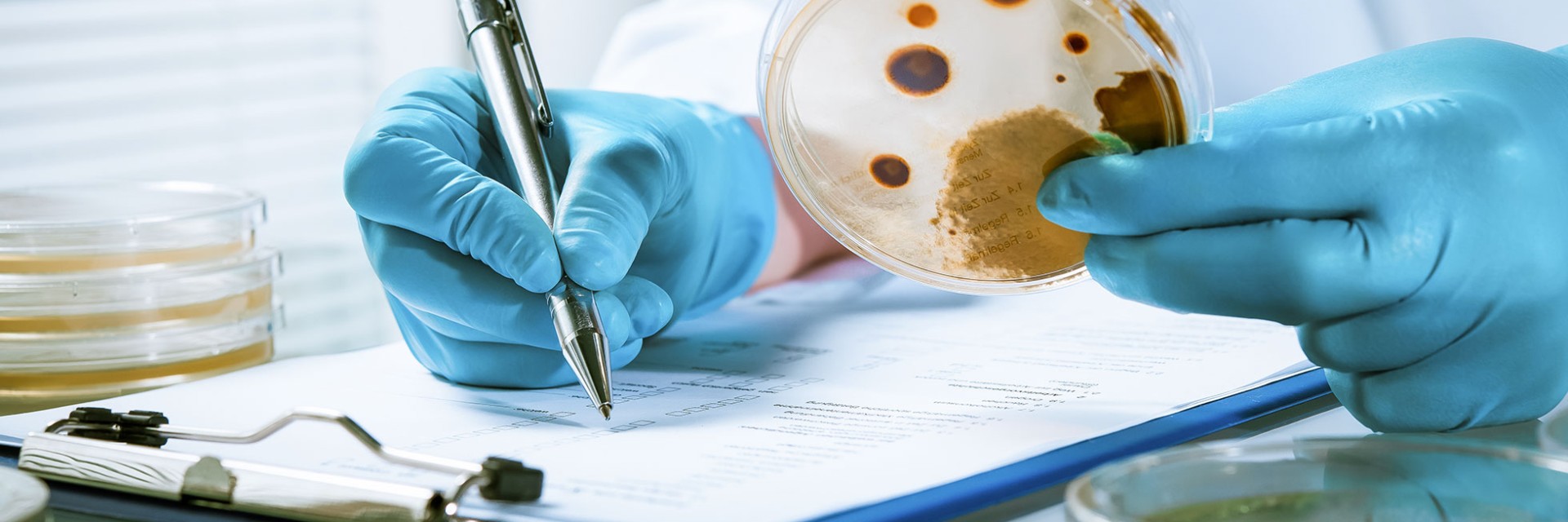 Client Alert New sentencing guidelines published for health and safety