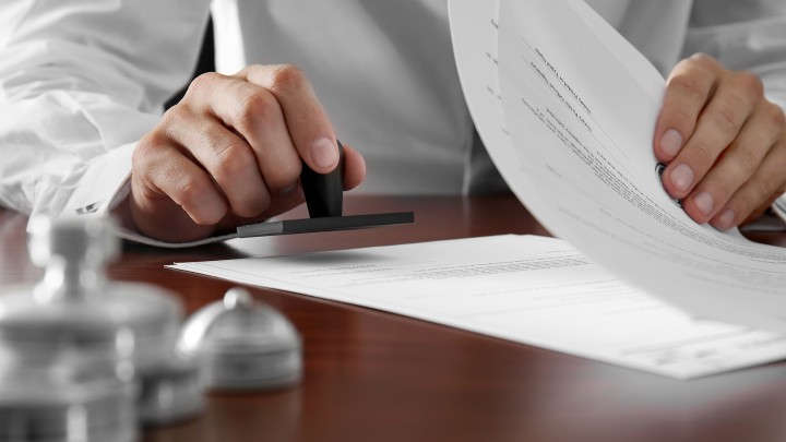 Litigants in Person