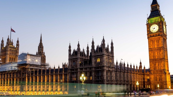 What role will Select Committees play in developing insurance policy?