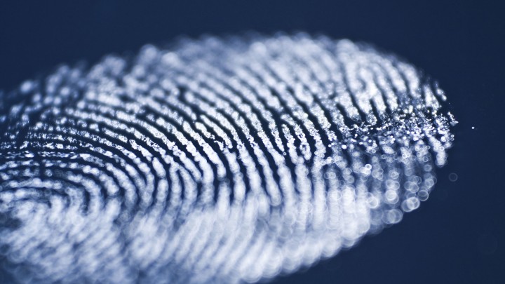 Keoghs Fraud Index shows new levels of sophistication