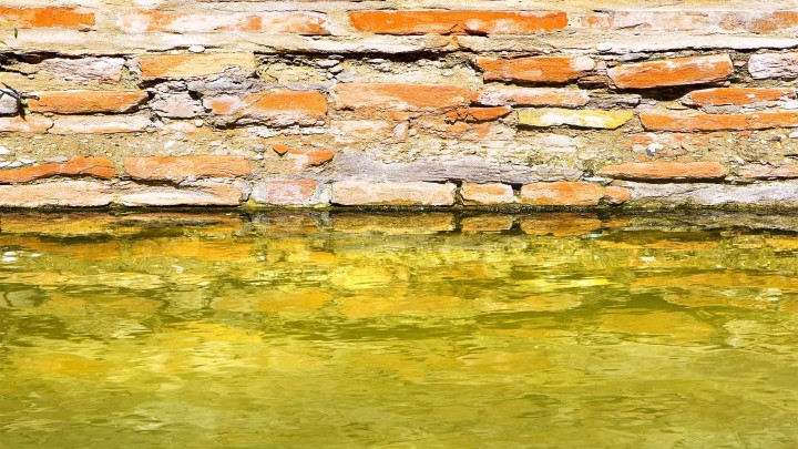 Rising Damp: A consideration of landlord's obligations