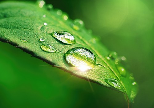 Responsible Business Approach2