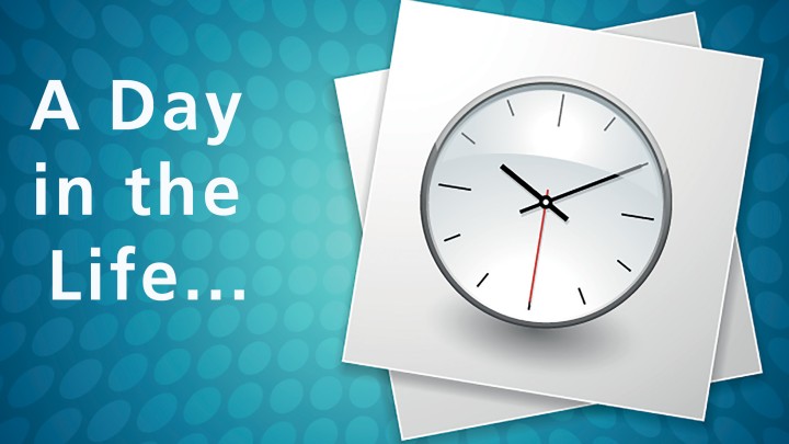 A Day in the Life...