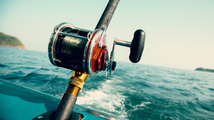 Fishing Expedition