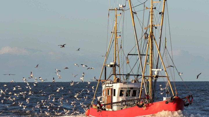 In pursuit of the fundamental truth