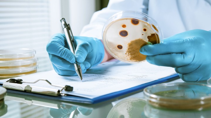 Client Alert: New sentencing guidelines published for health and safety offences; larger fines on the way