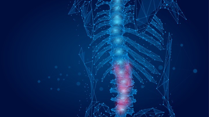 Shutterstock1721726818