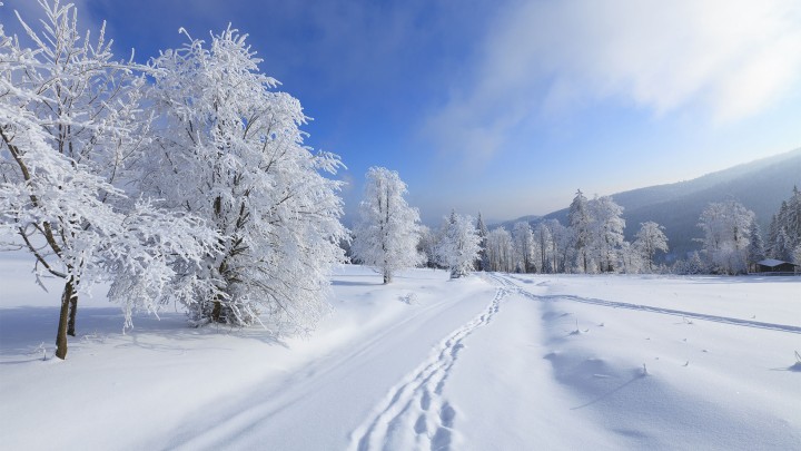 Knauer: is it the winter of our discontent?